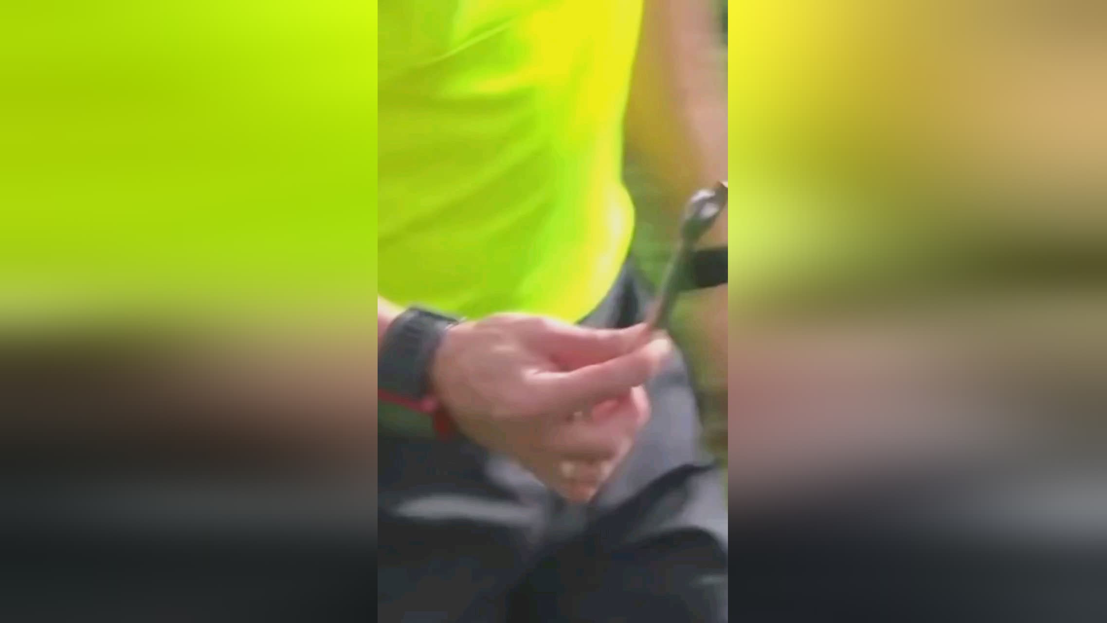 的加入不仅